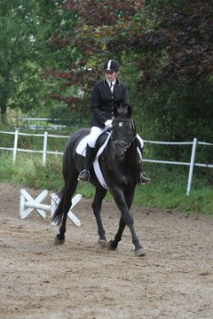 Bild 89 - WBO-Turnier am 18.9.11